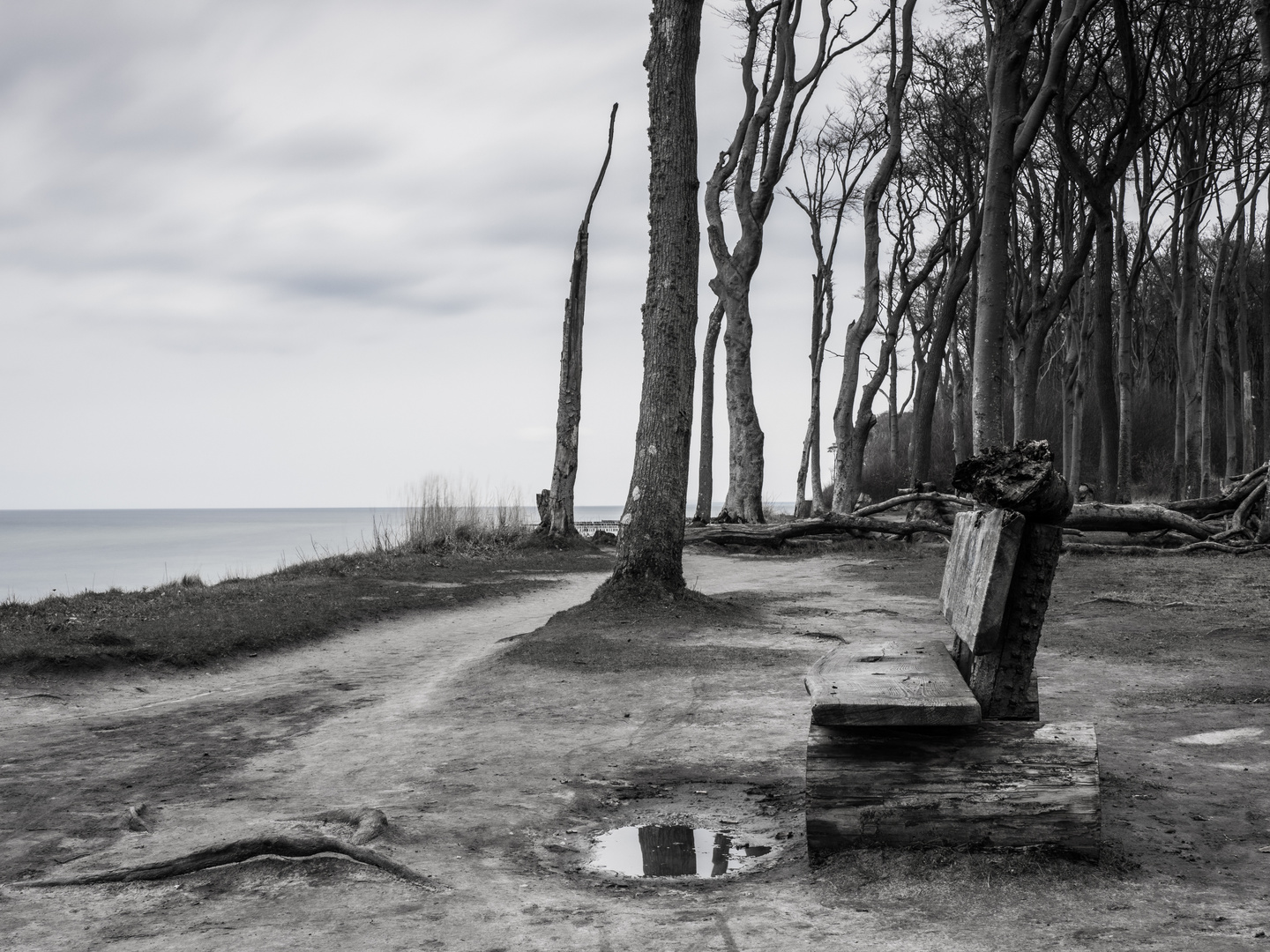 Nach dem Regen