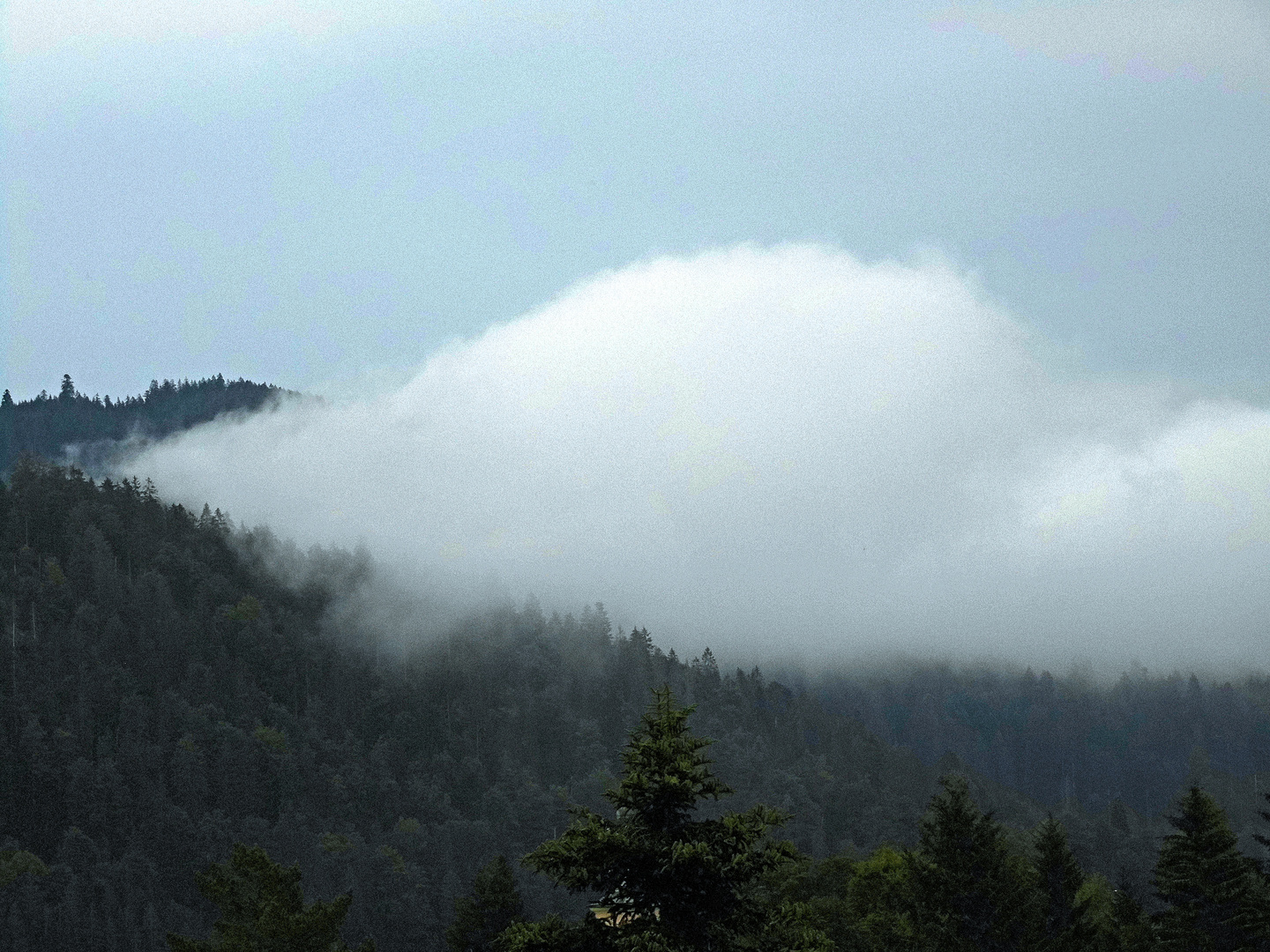 Nach dem Regen