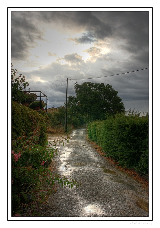 Nach dem Regen