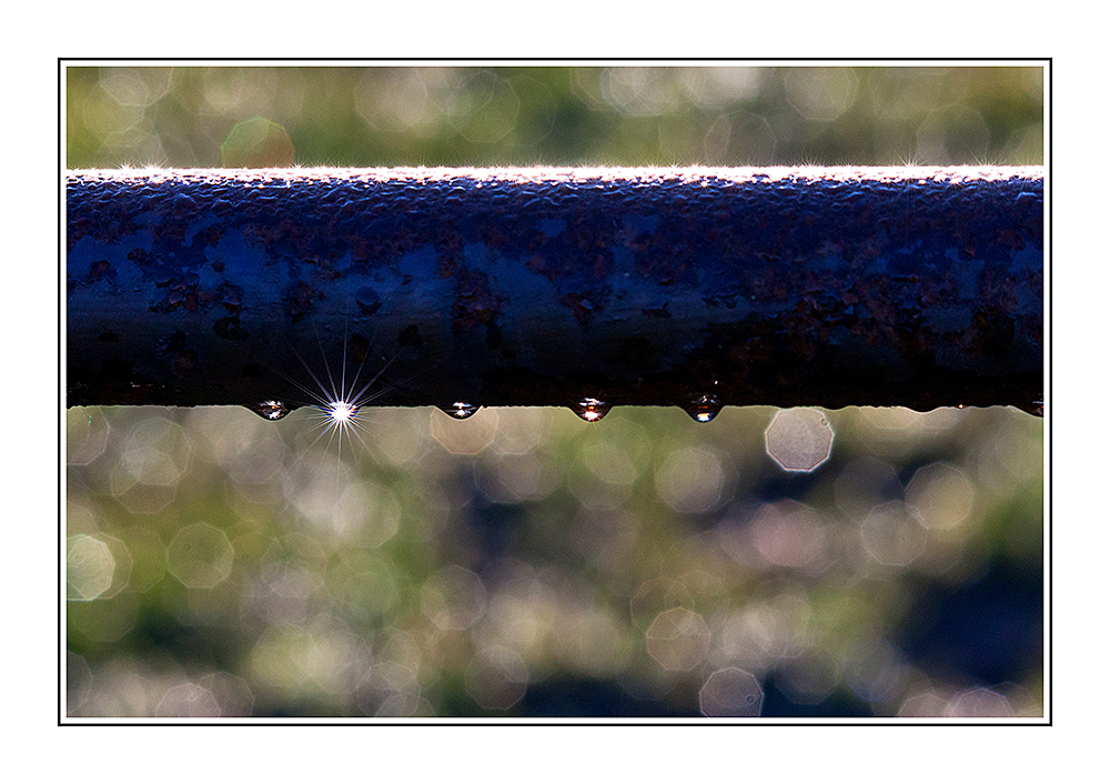 Nach dem Regen...