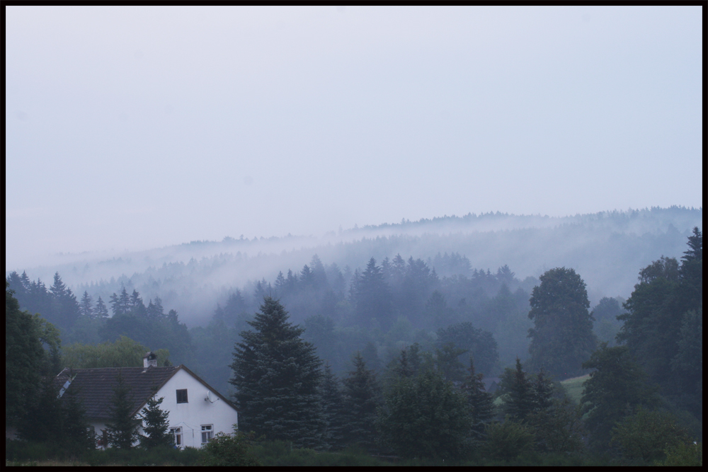 Nach dem Regen