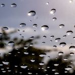 Nach dem Regen ... 