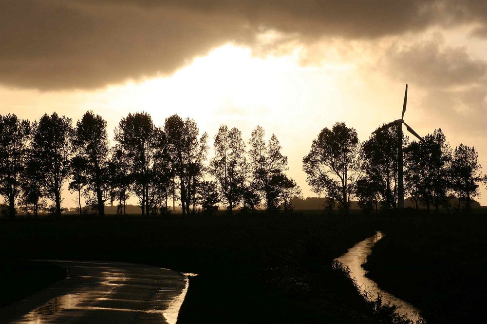 Nach dem Regen