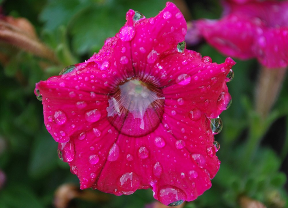 nach dem Regen