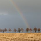 ... nach dem Regen