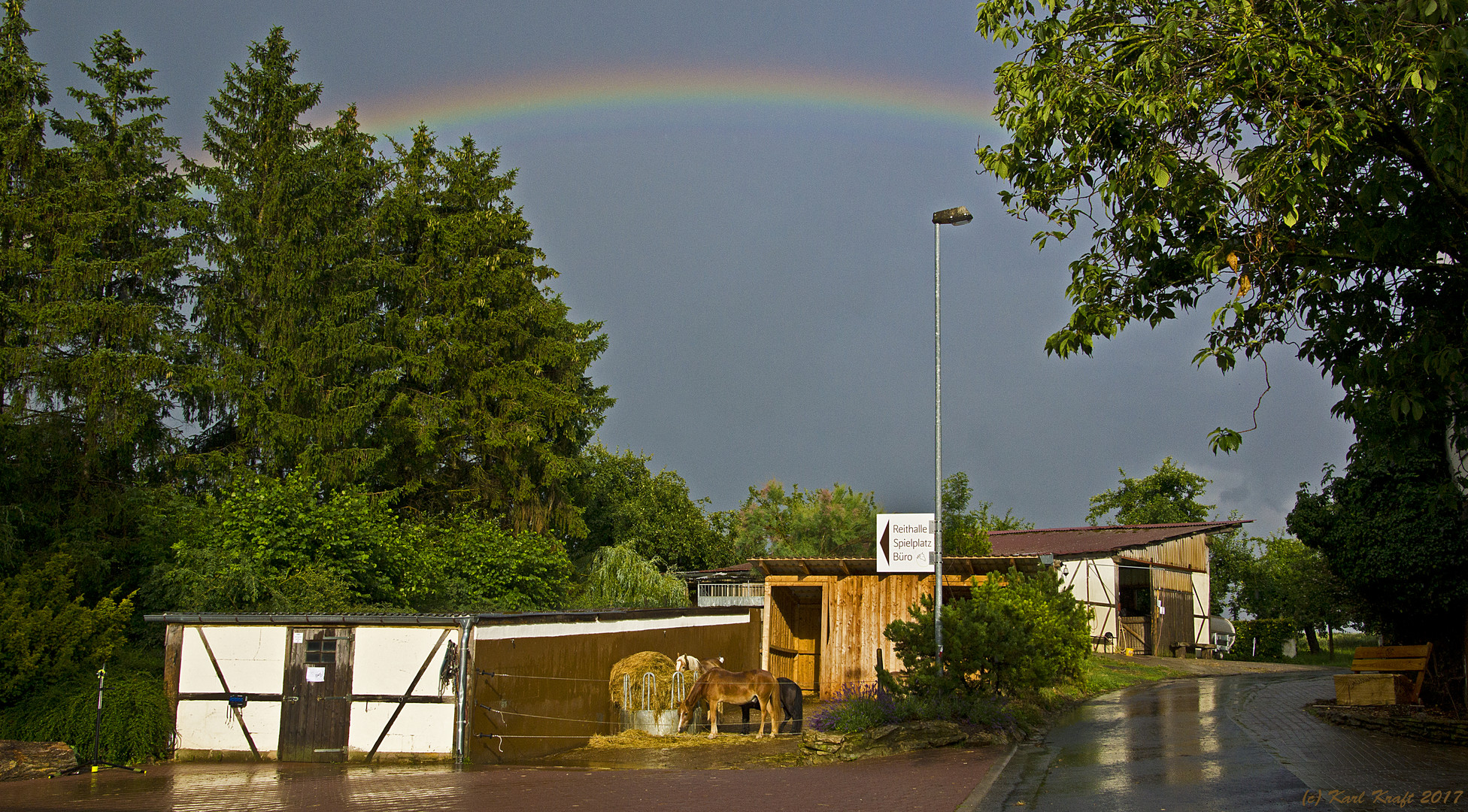 Nach dem Regen