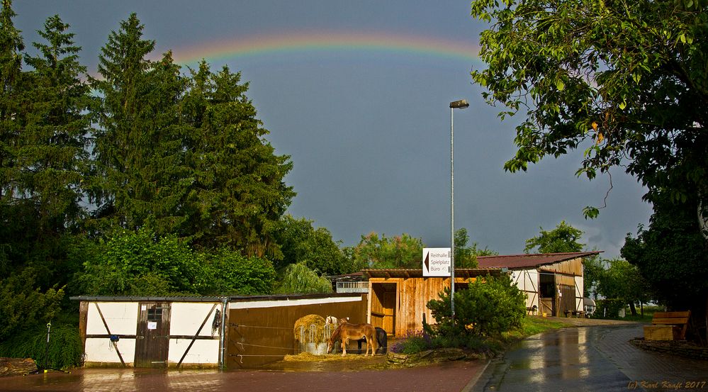 Nach dem Regen