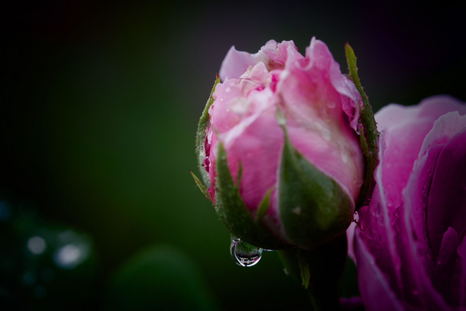 Nach dem Regen