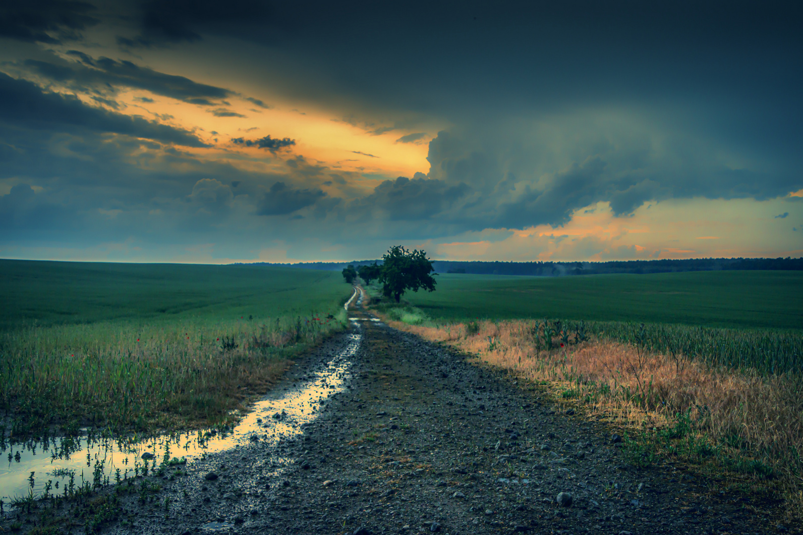 Nach dem Regen ...