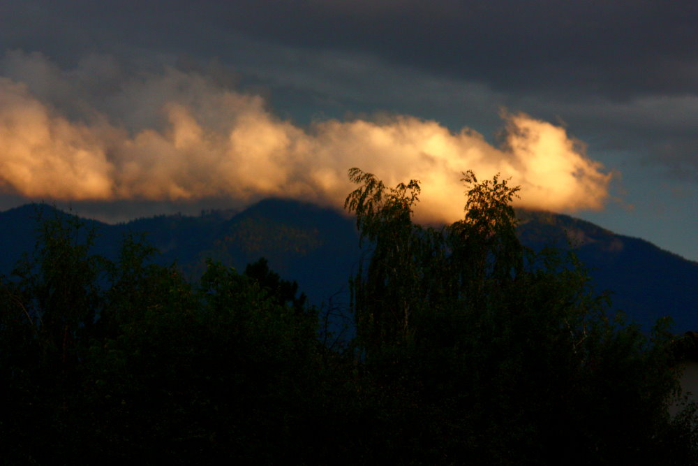 Nach dem Regen