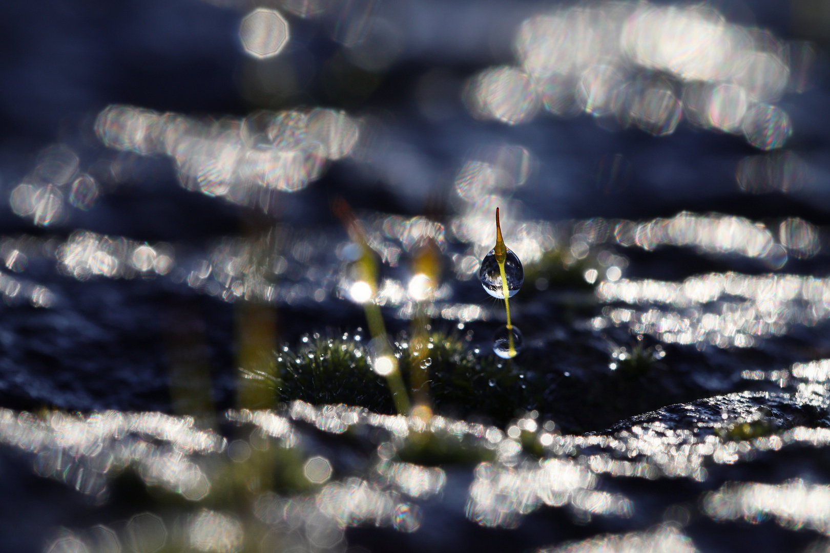 Nach dem Regen