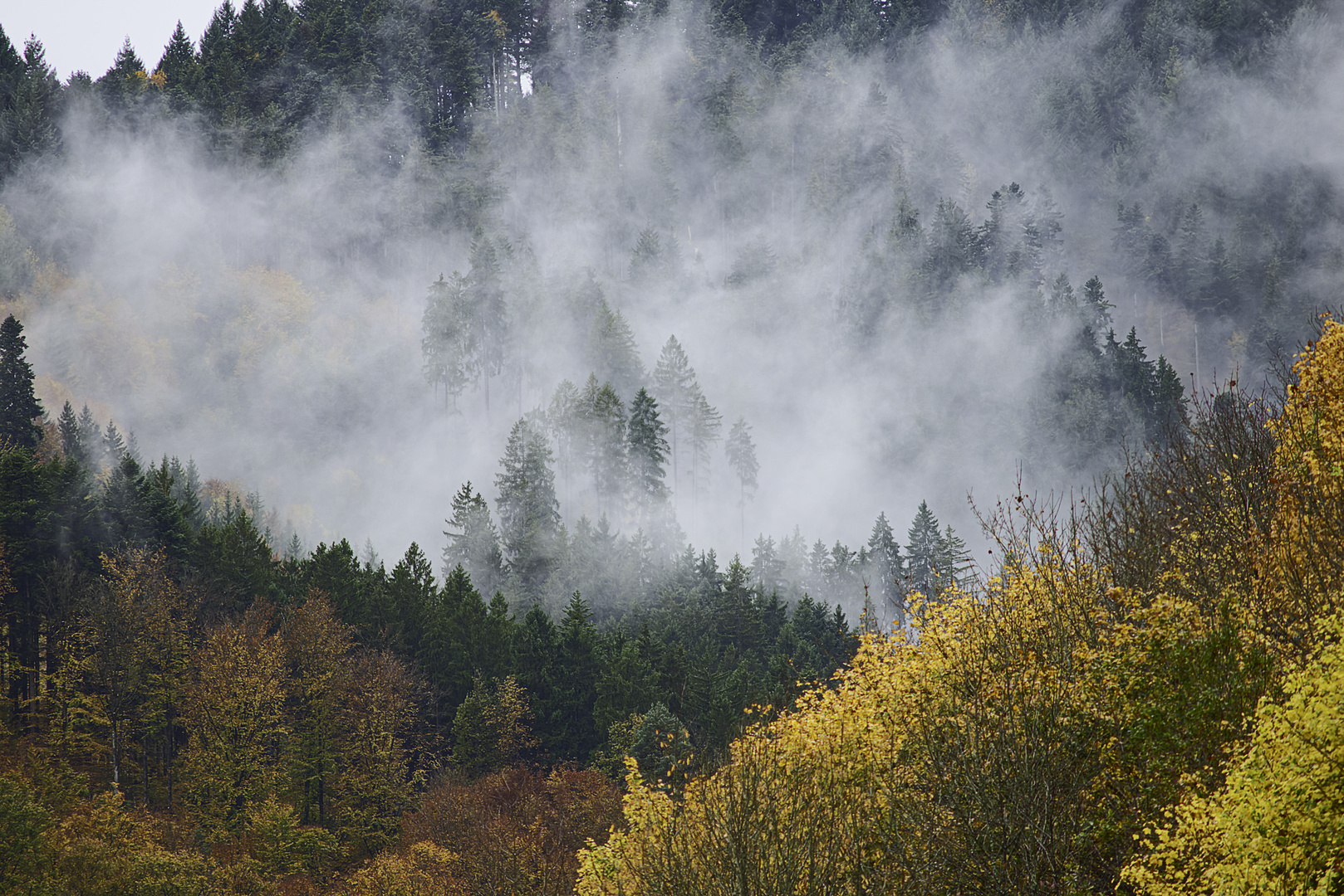 nach dem Regen