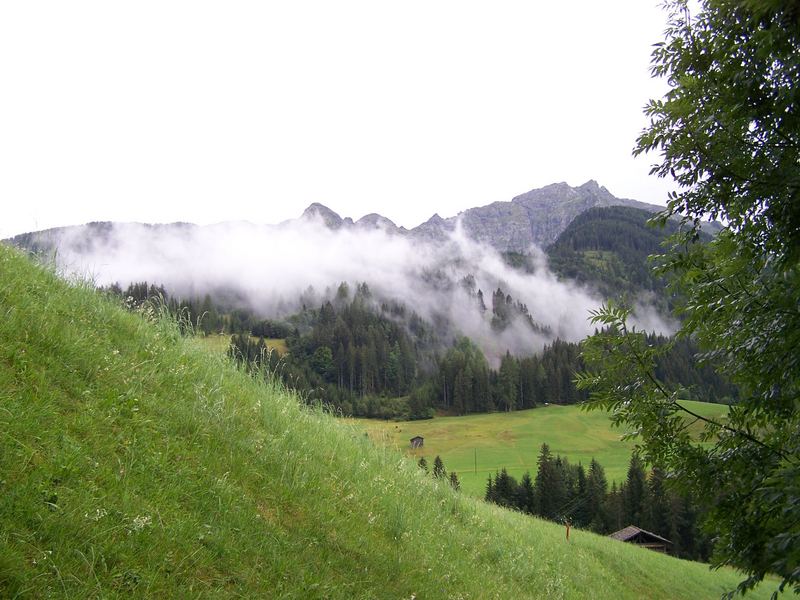 Nach dem Regen