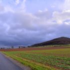 nach dem Regen (después de la lluvia)