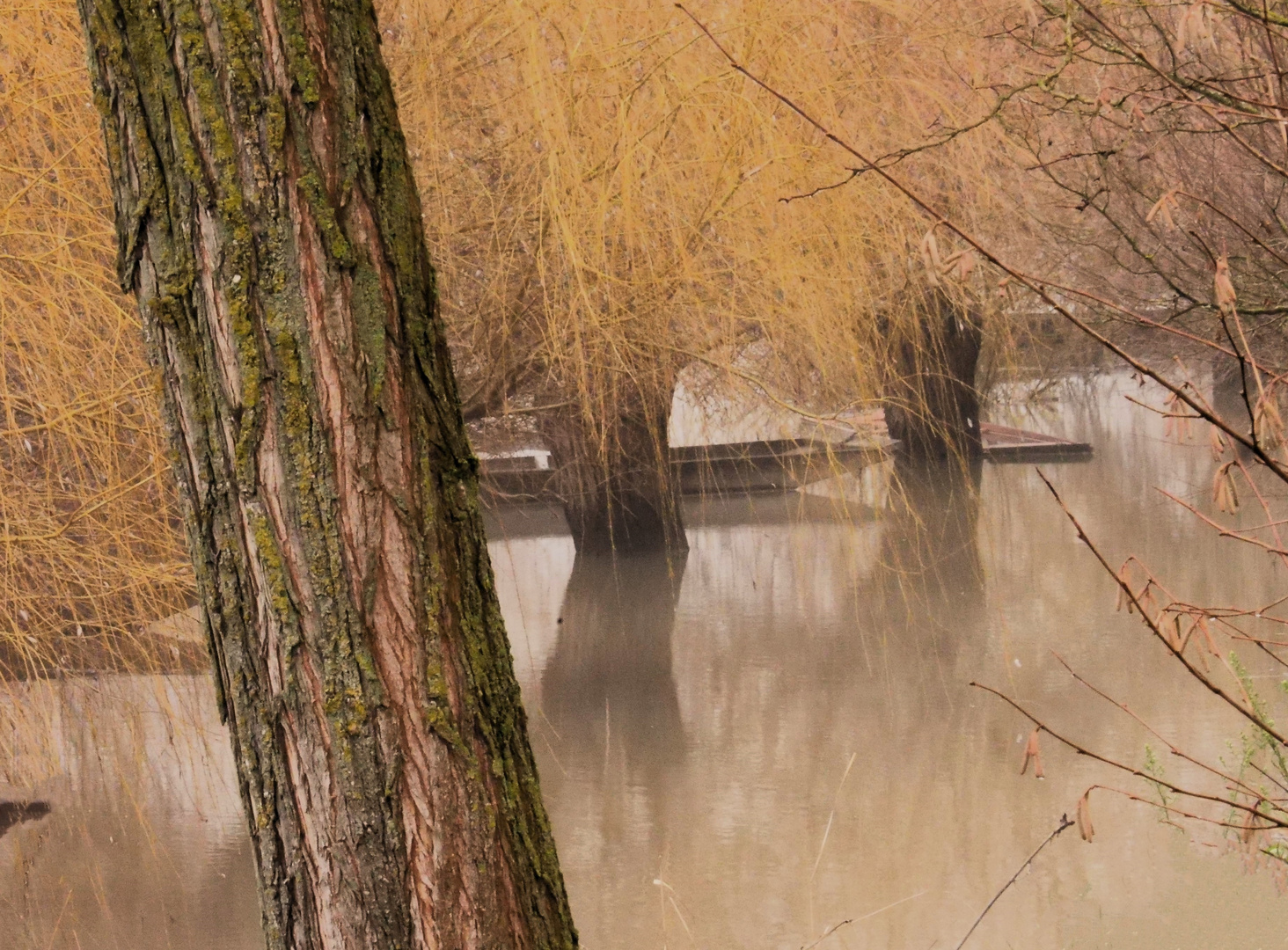 Nach dem Regen- Dezember 23