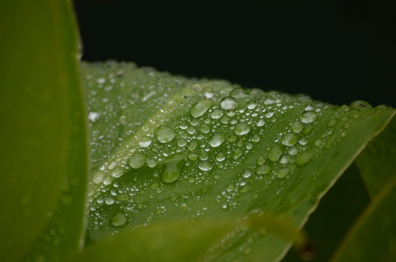 Nach dem Regen