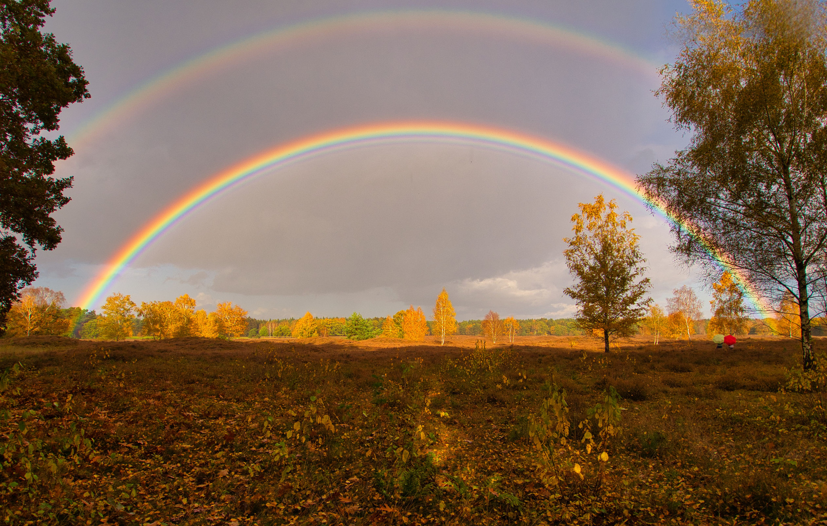 Nach dem Regen