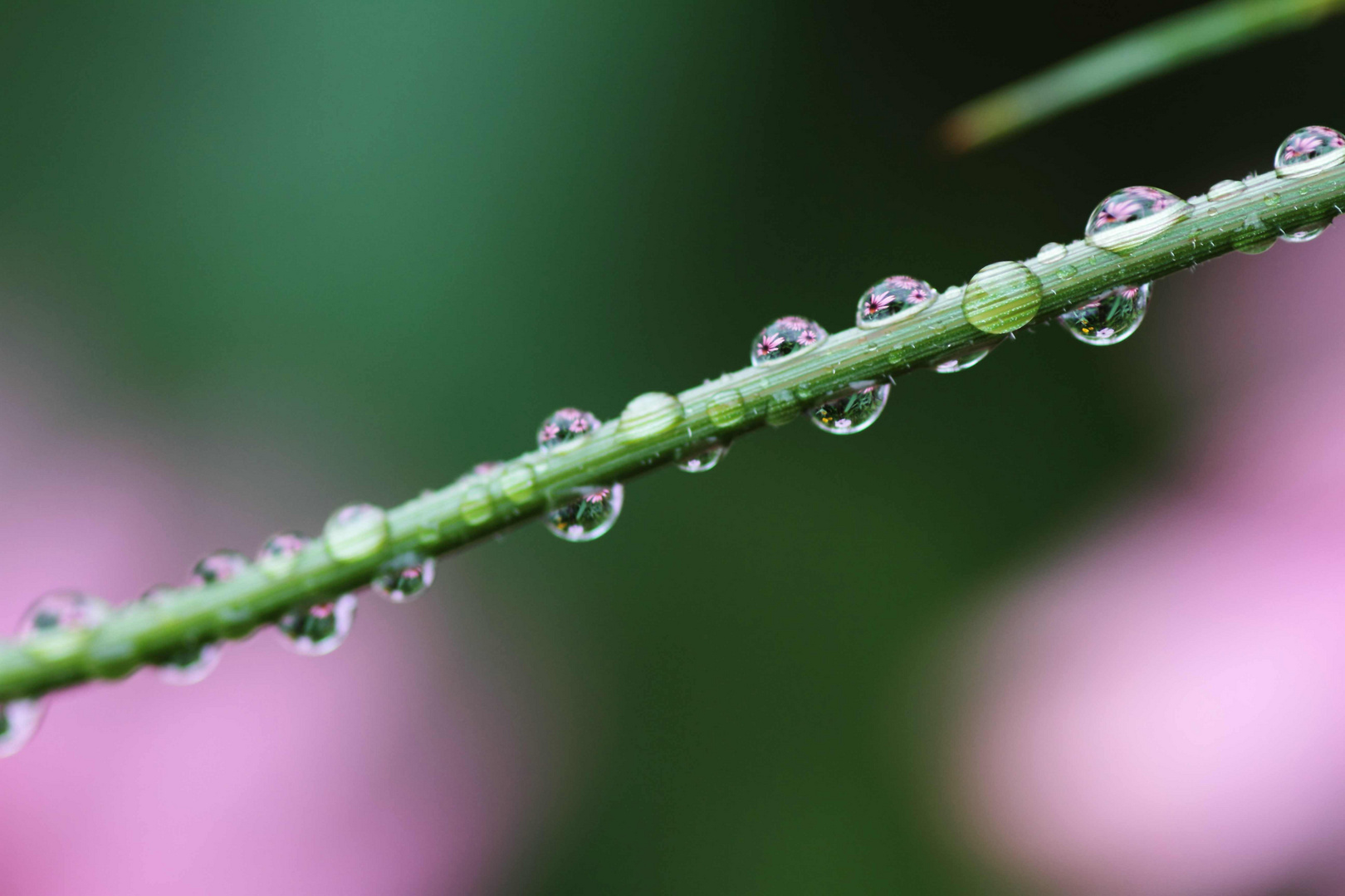 nach dem Regen