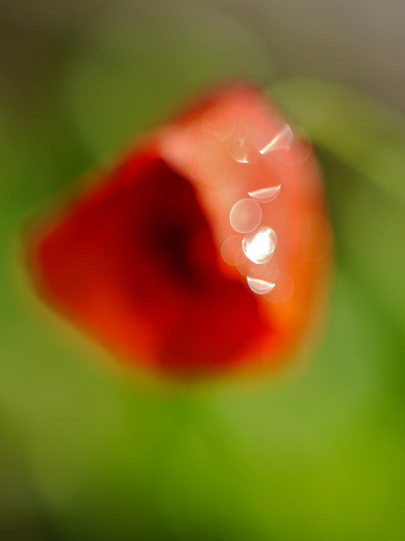 Nach dem Regen