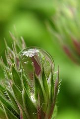 Nach dem Regen