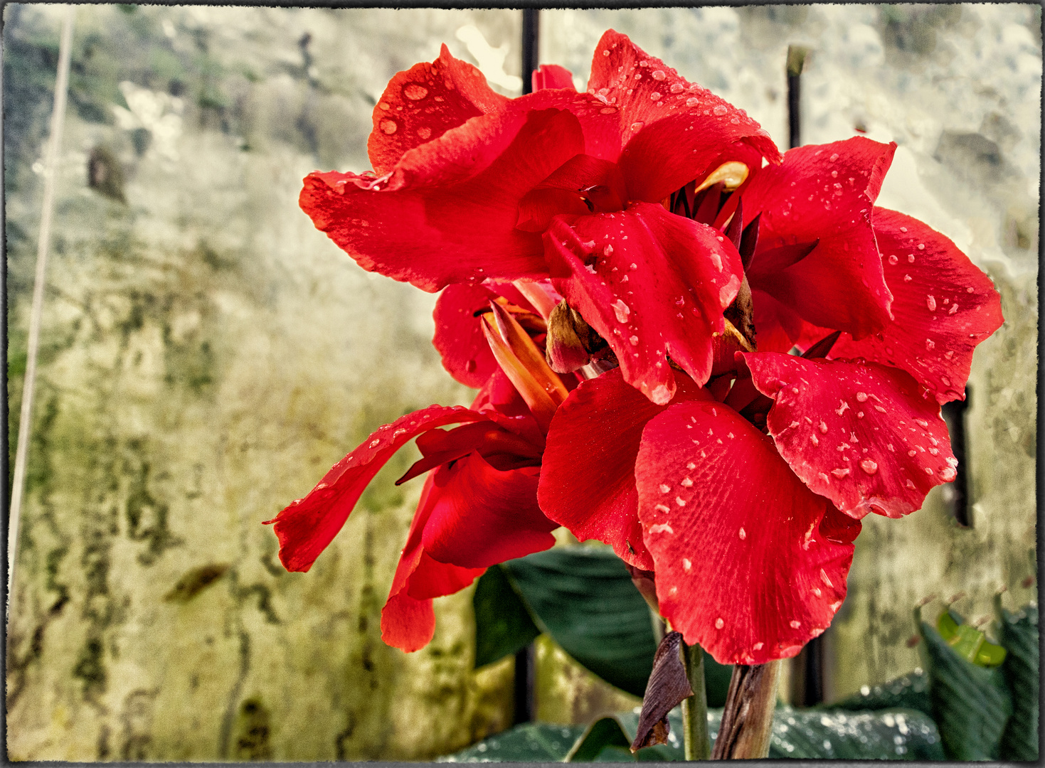 nach dem Regen