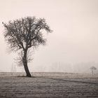 Nach dem Regen 