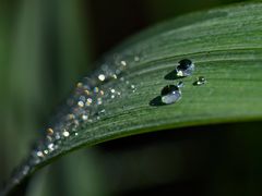 nach dem Regen