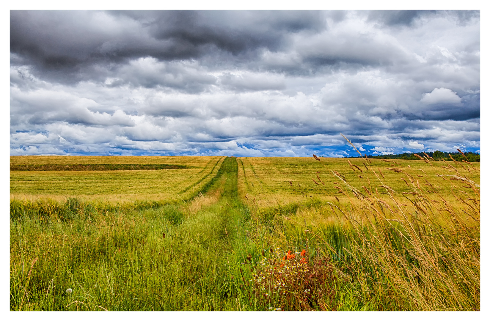 Nach dem Regen