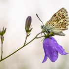 Nach dem Regen