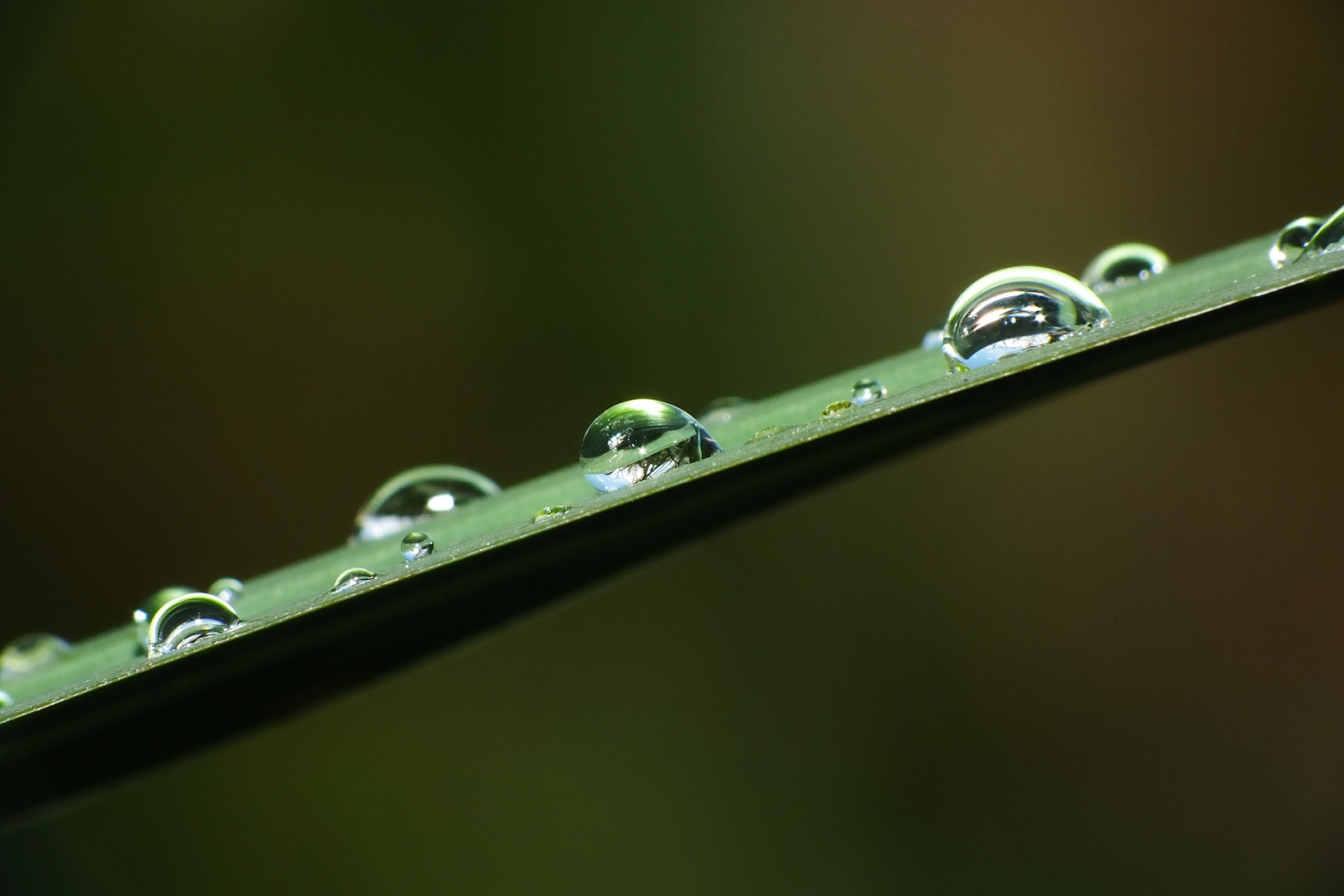 ... nach dem Regen ...