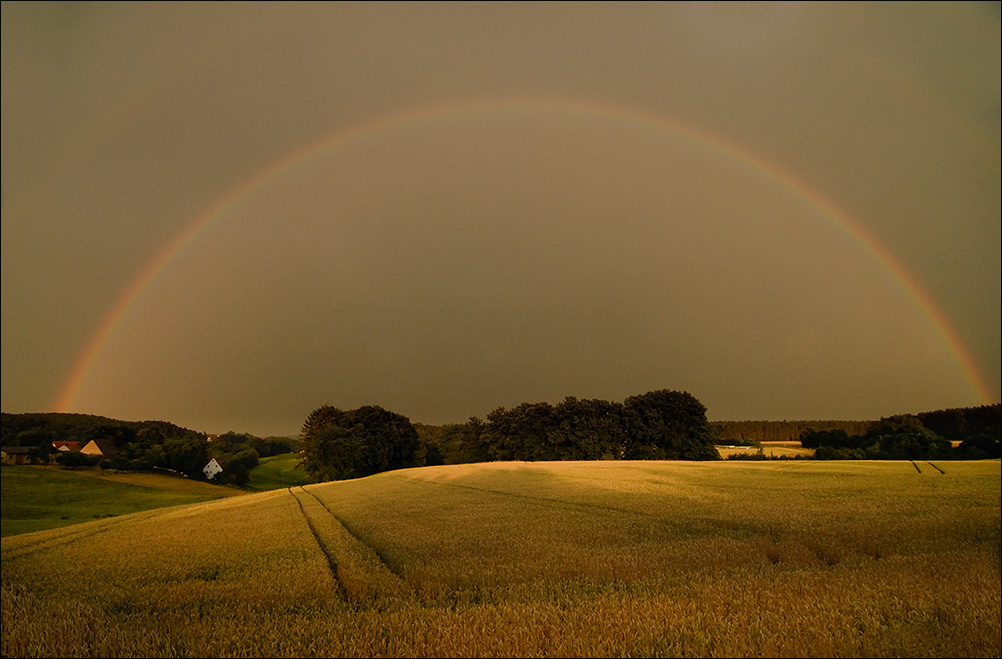 Nach dem Regen