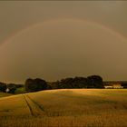 Nach dem Regen