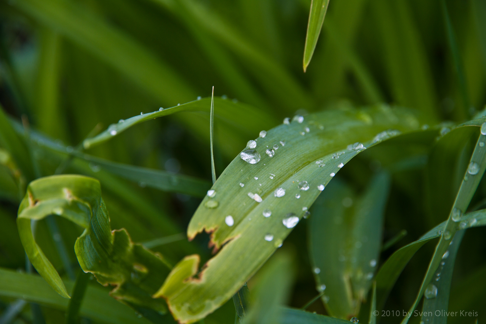 Nach dem Regen