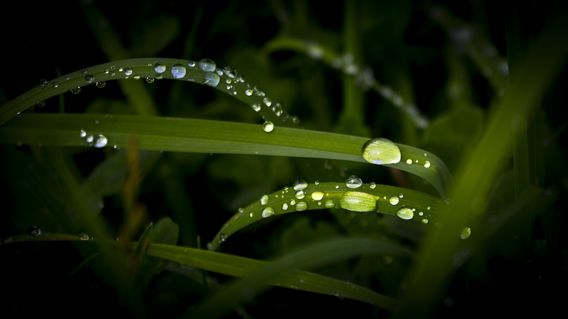 Nach dem Regen