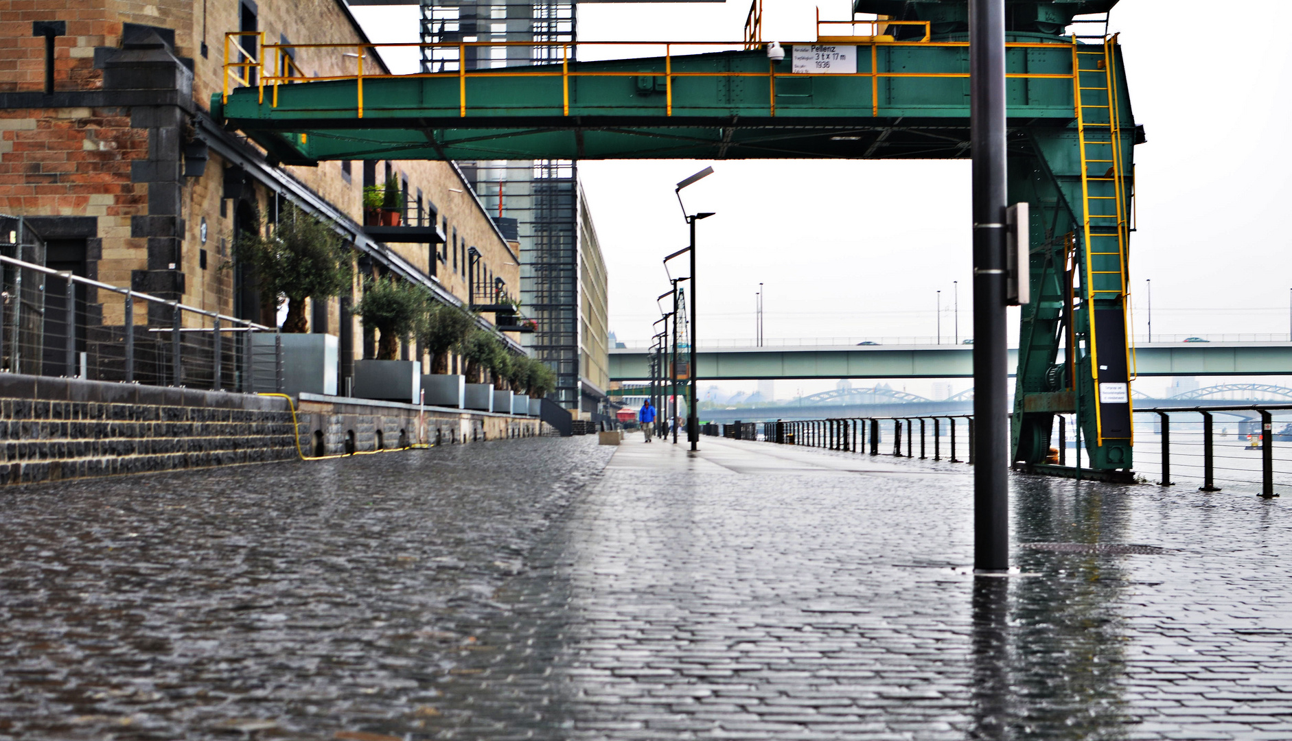 nach dem Regen