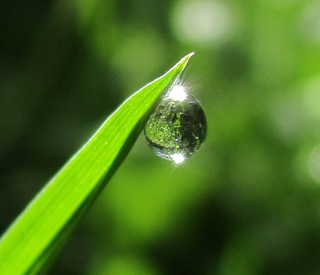 Nach dem Regen