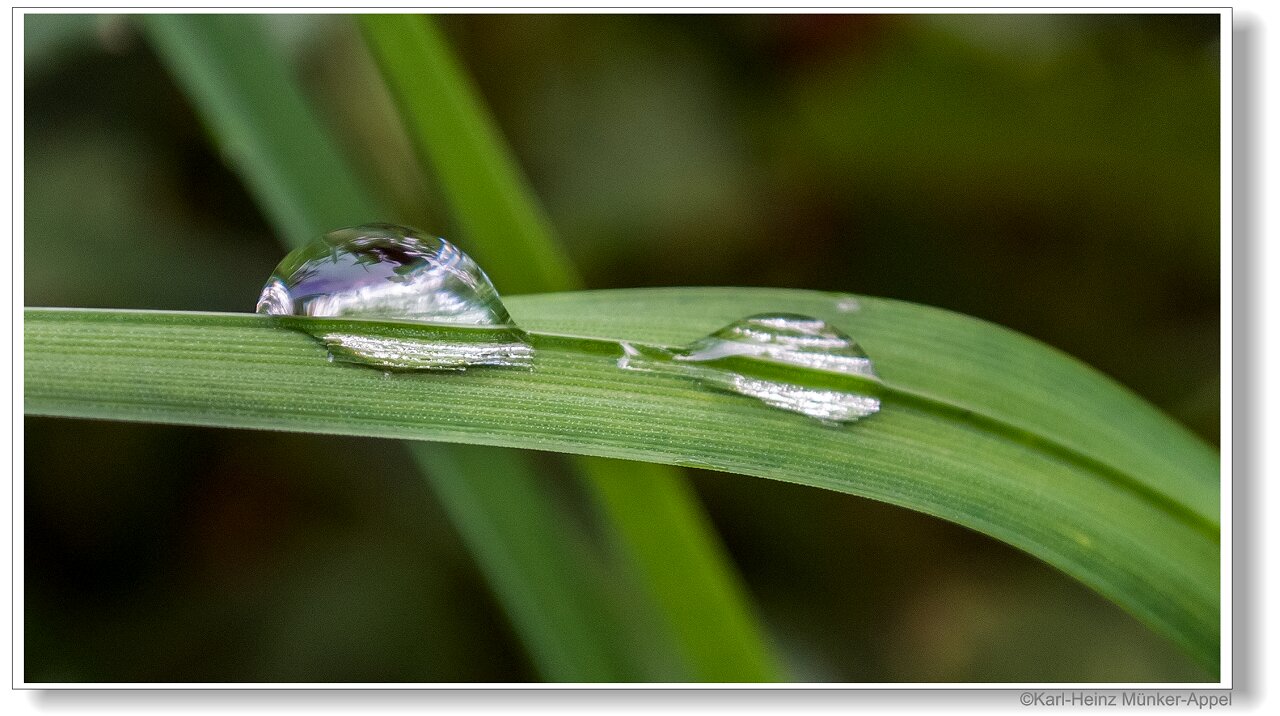 nach dem Regen.....