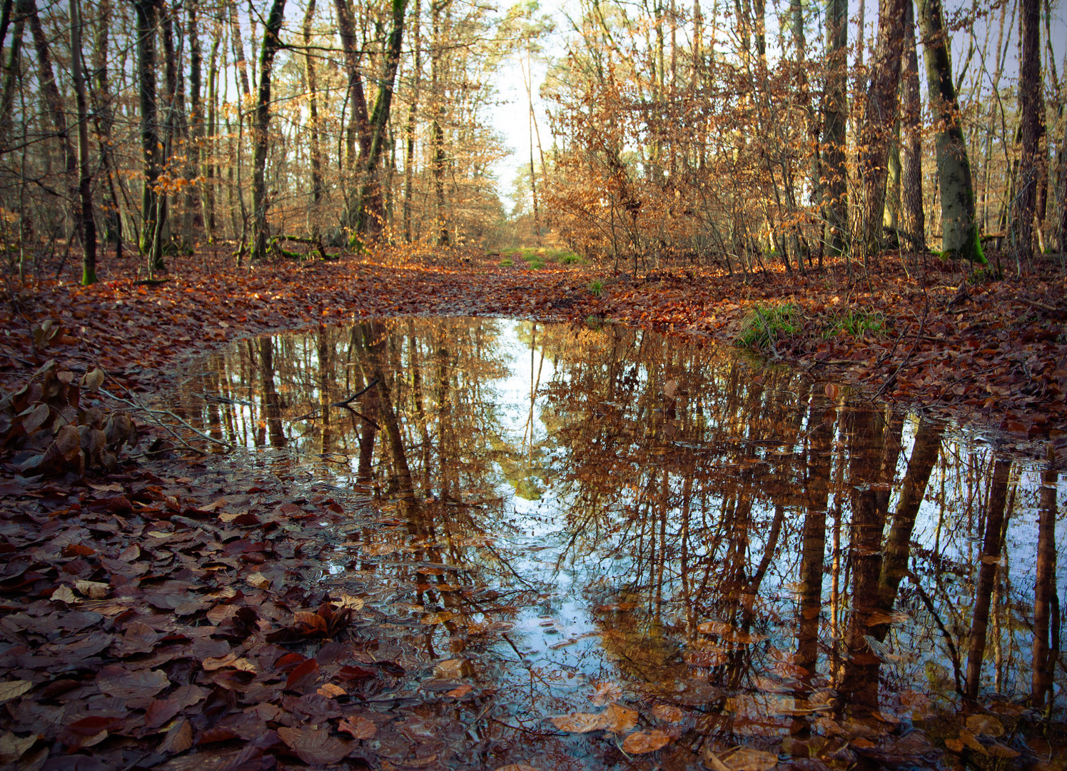 nach dem Regen