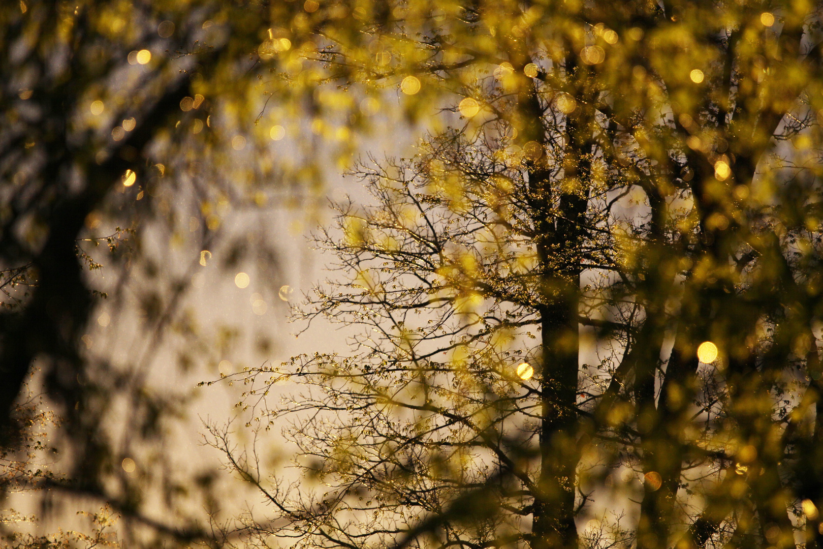 Nach dem Regen