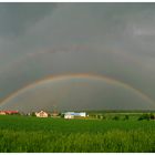 Nach dem Regen