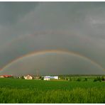 Nach dem Regen