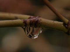 nach dem regen