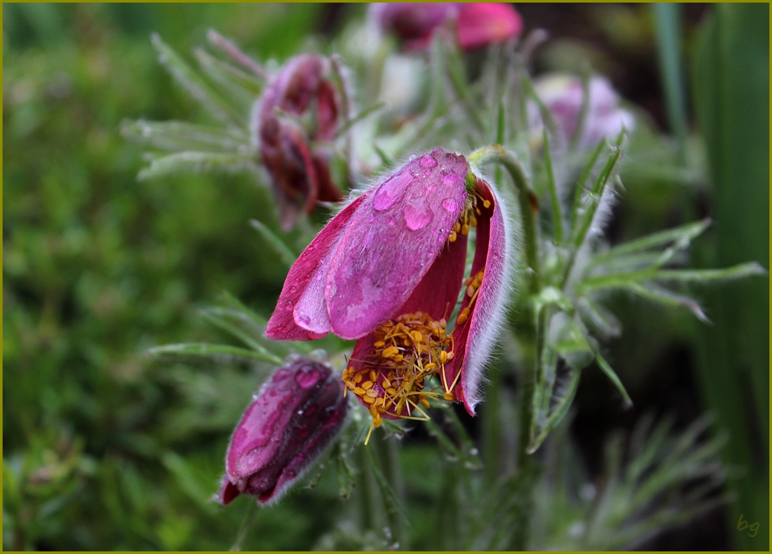 nach dem Regen