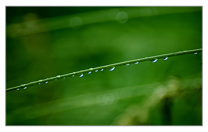 Nach dem Regen