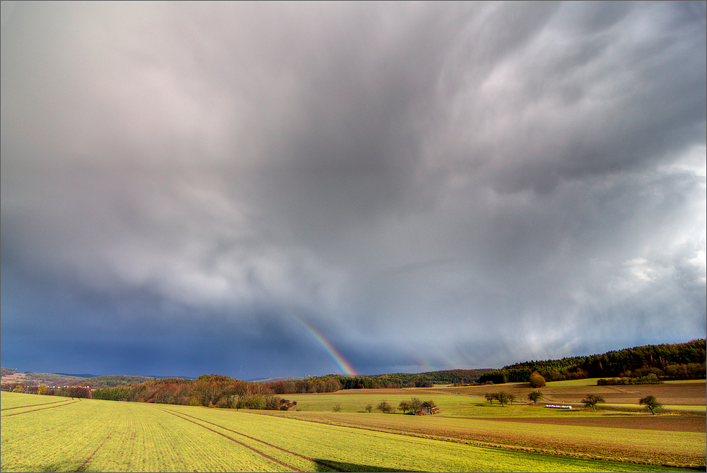 Nach dem Regen ...