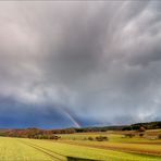 Nach dem Regen ...