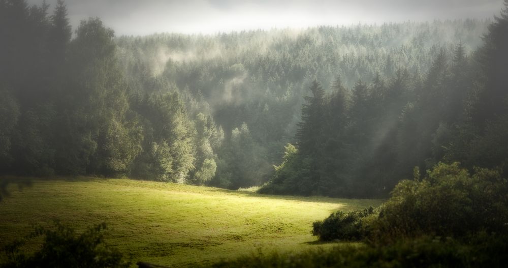 Nach dem Regen...