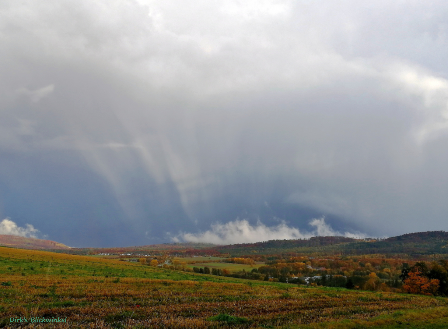 nach dem Regen