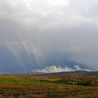 nach dem Regen