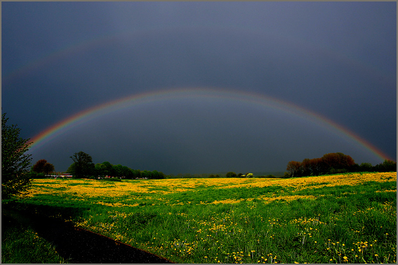 ...nach dem Regen